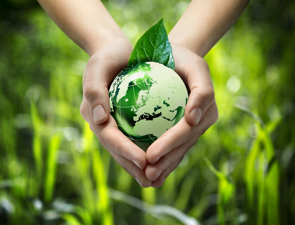 Balancing Arts & Entertainment With Carbon-Neutral Business Practices
