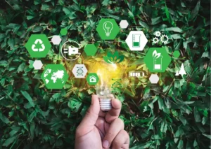 Understanding sustainability certifications