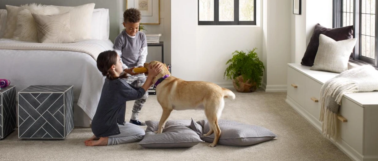 Artistic Solutions for Pet-Safe Homes