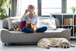 Creating a pet-safe home ambiance