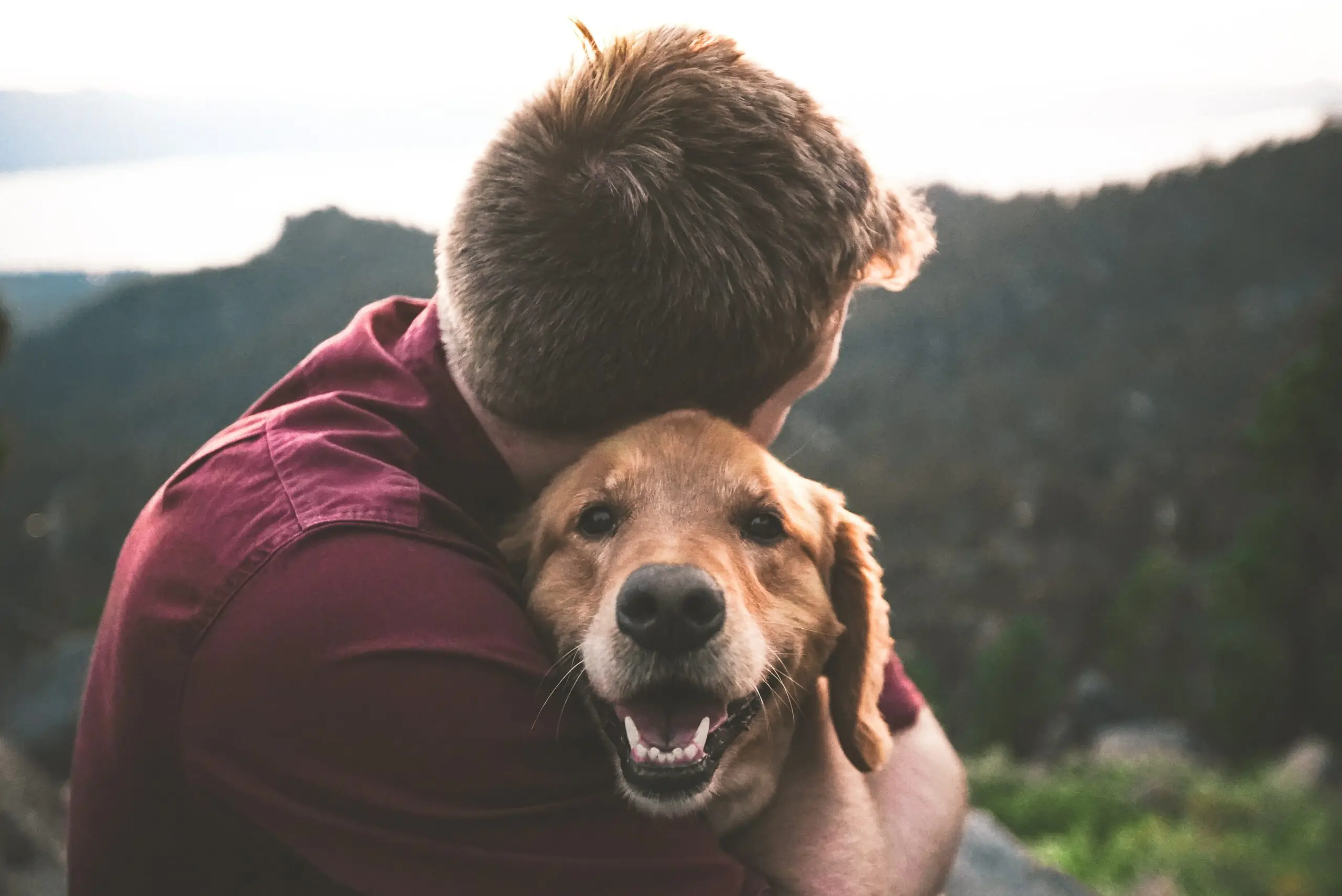 the Advantages of Ethical Pet Euthanasia Methods
