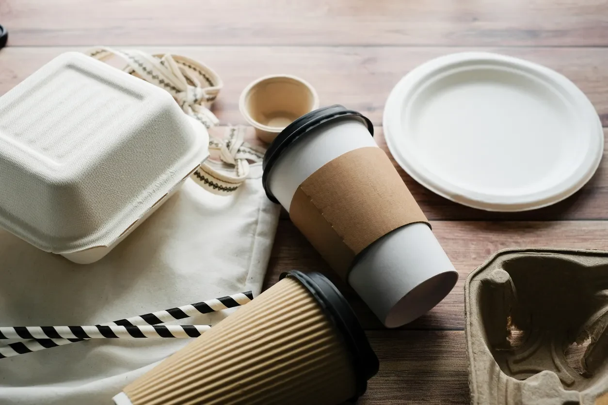 The Benefits of Using Compostable Event Tableware for Sustainable Art Events